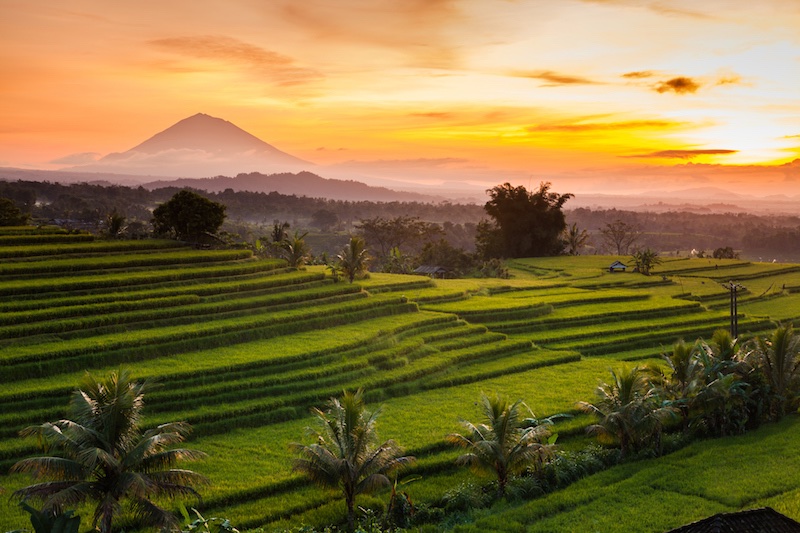 Mount Batukaru behind the famous Bali sunset 
