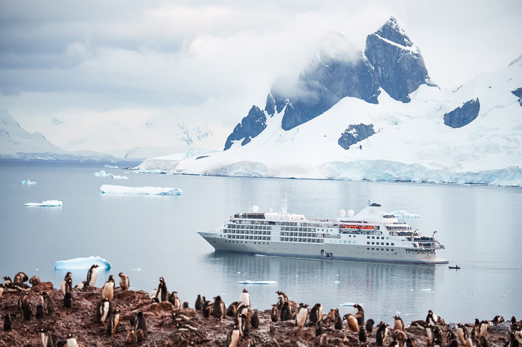 Silver Wind in Antarctica.