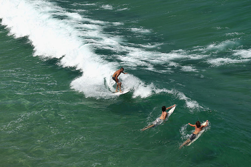 Admire the surfers at Freshwater Beach from the Harbord Diggers Club.